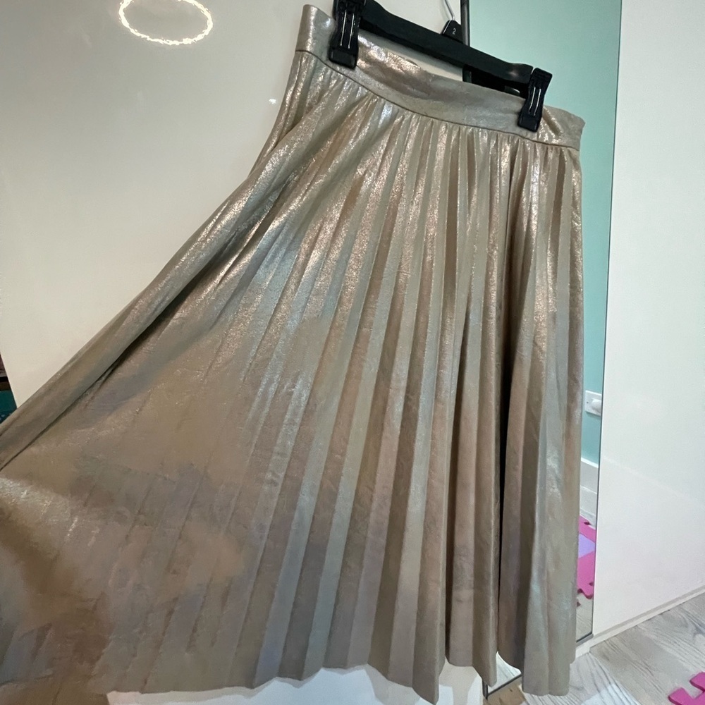 Zara Chic Shimmering A-Line Skirt - Picture 4 of 6